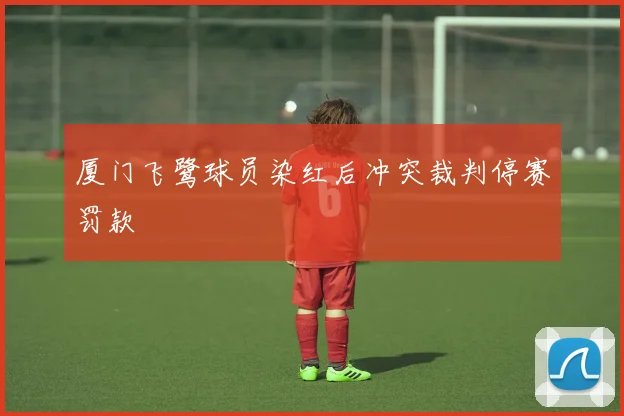 厦门飞鹭球员染红后冲突裁判停赛罚款