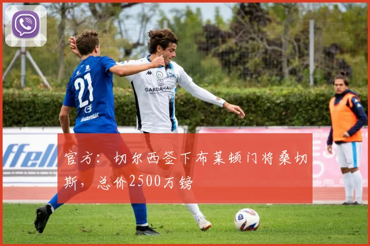 官方：切尔西签下布莱顿门将桑切斯，总价2500万镑